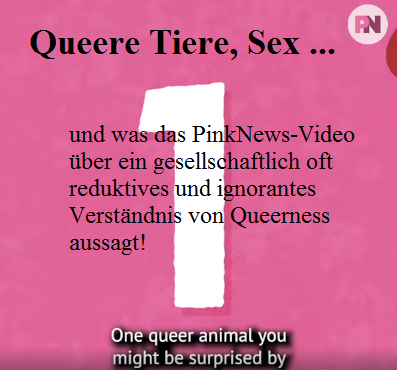 Queere Tiere, Sex …